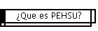 �Que es PEHSU?
